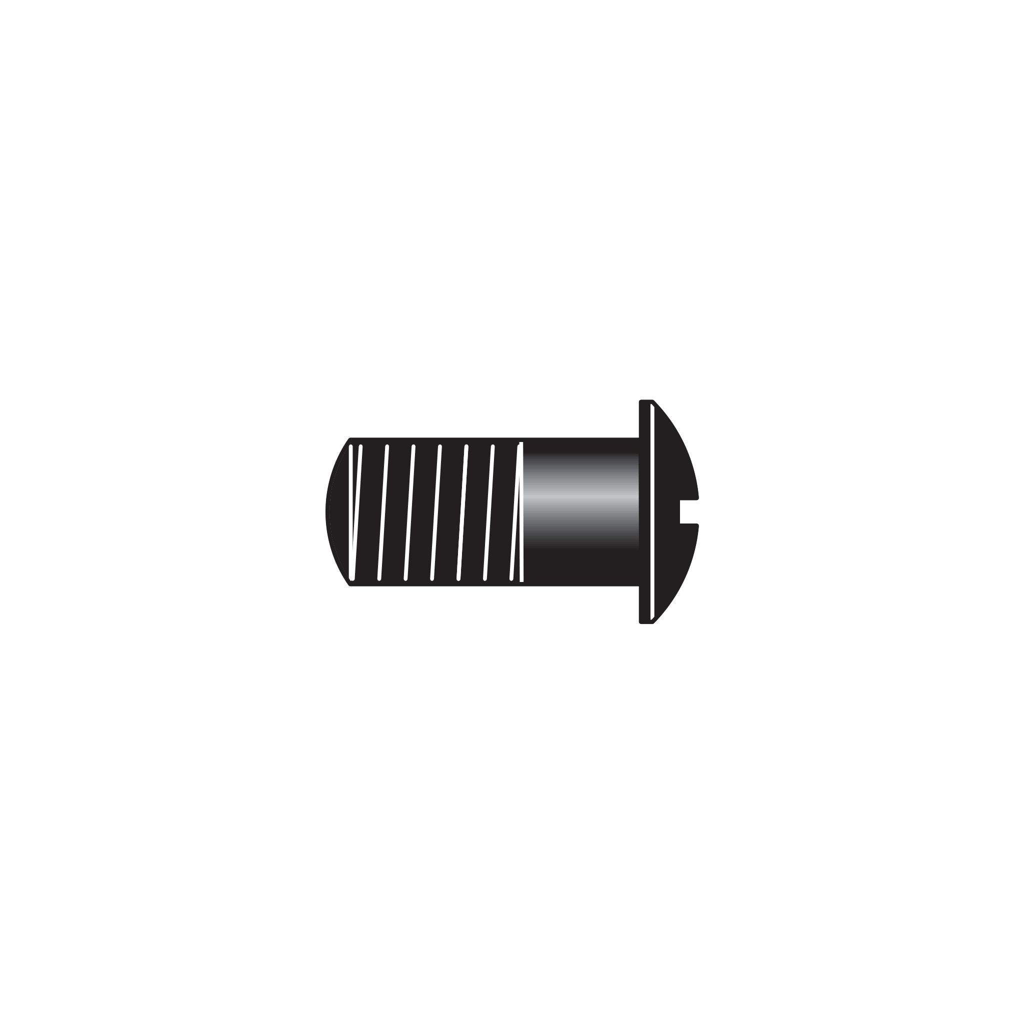 61/4 Screw - Product - Main View