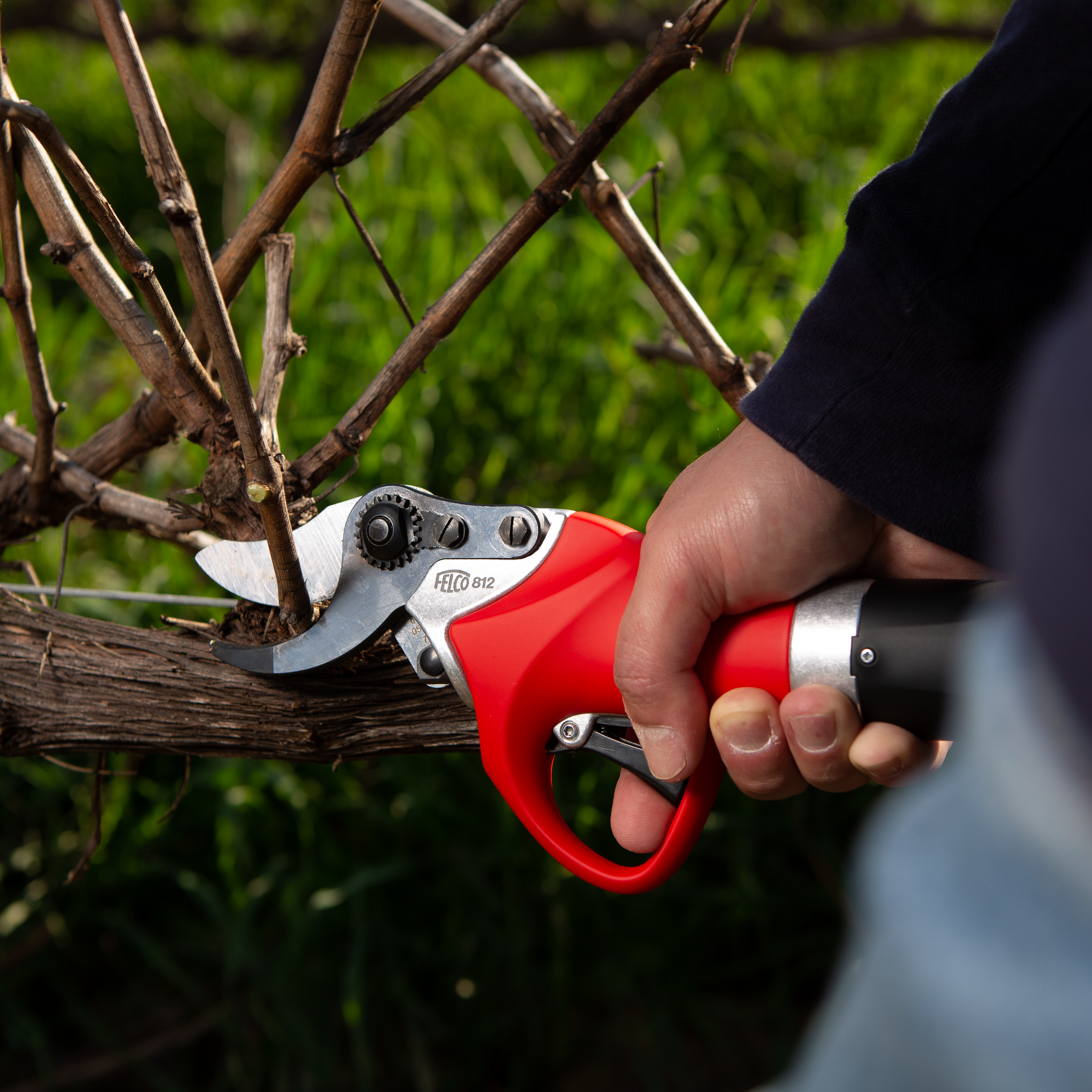 FELCO 812+