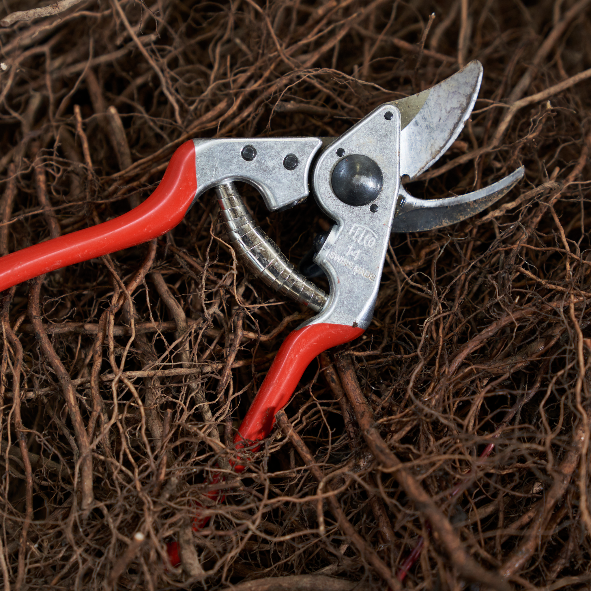 Essential Pack S
