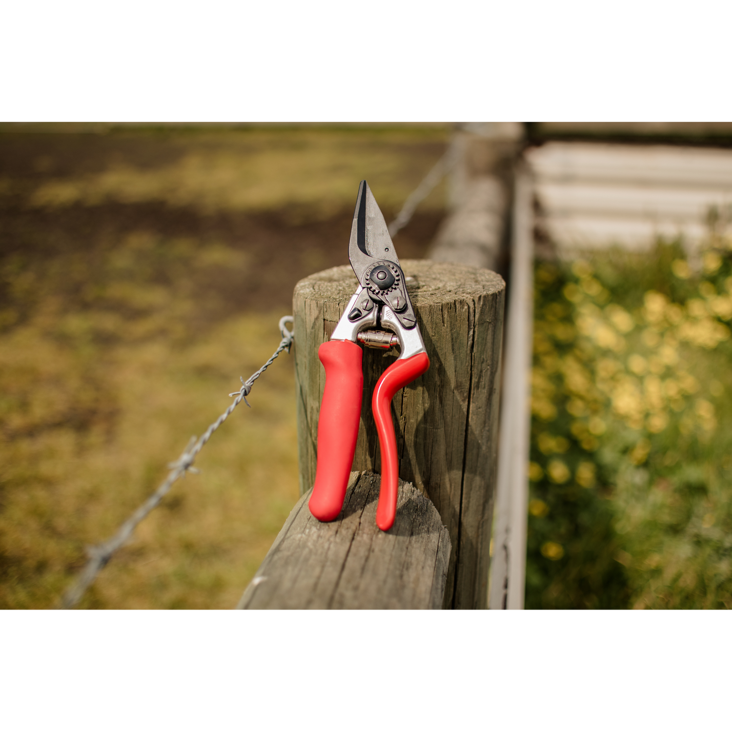 FELCO 50