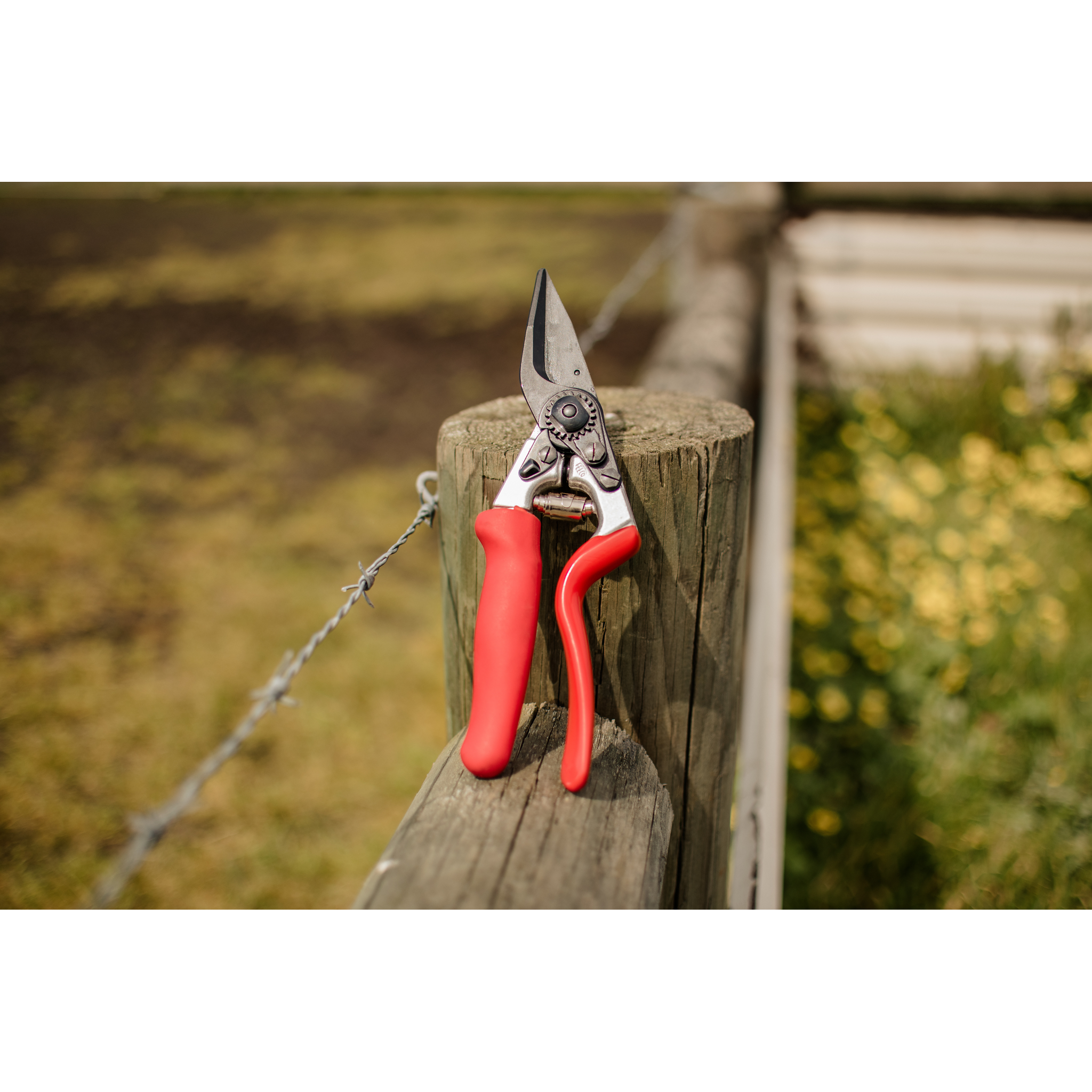 FELCO 50