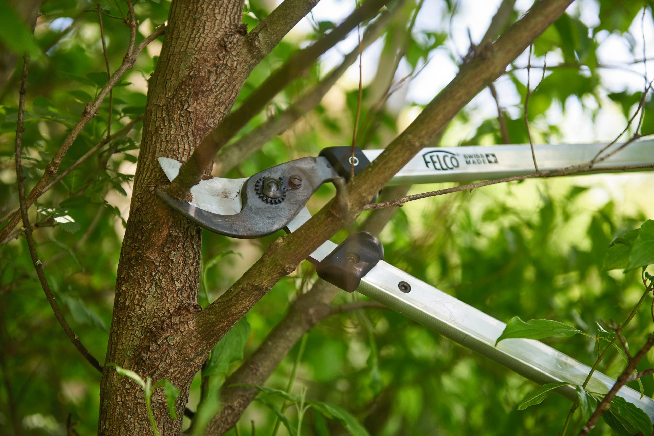 Il Giardiniere Professionista – Kit