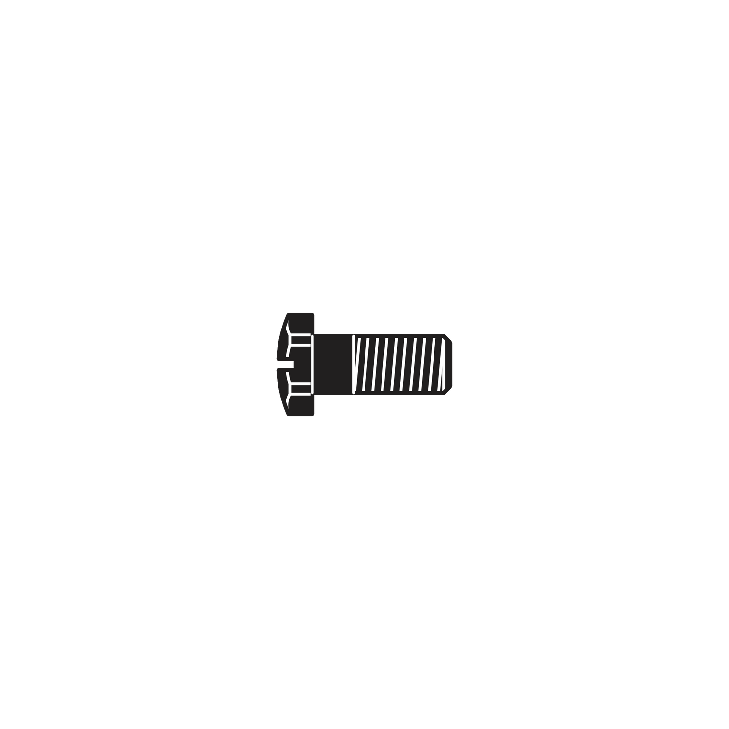 2/17 Screw for toothed segment - Product - Main View