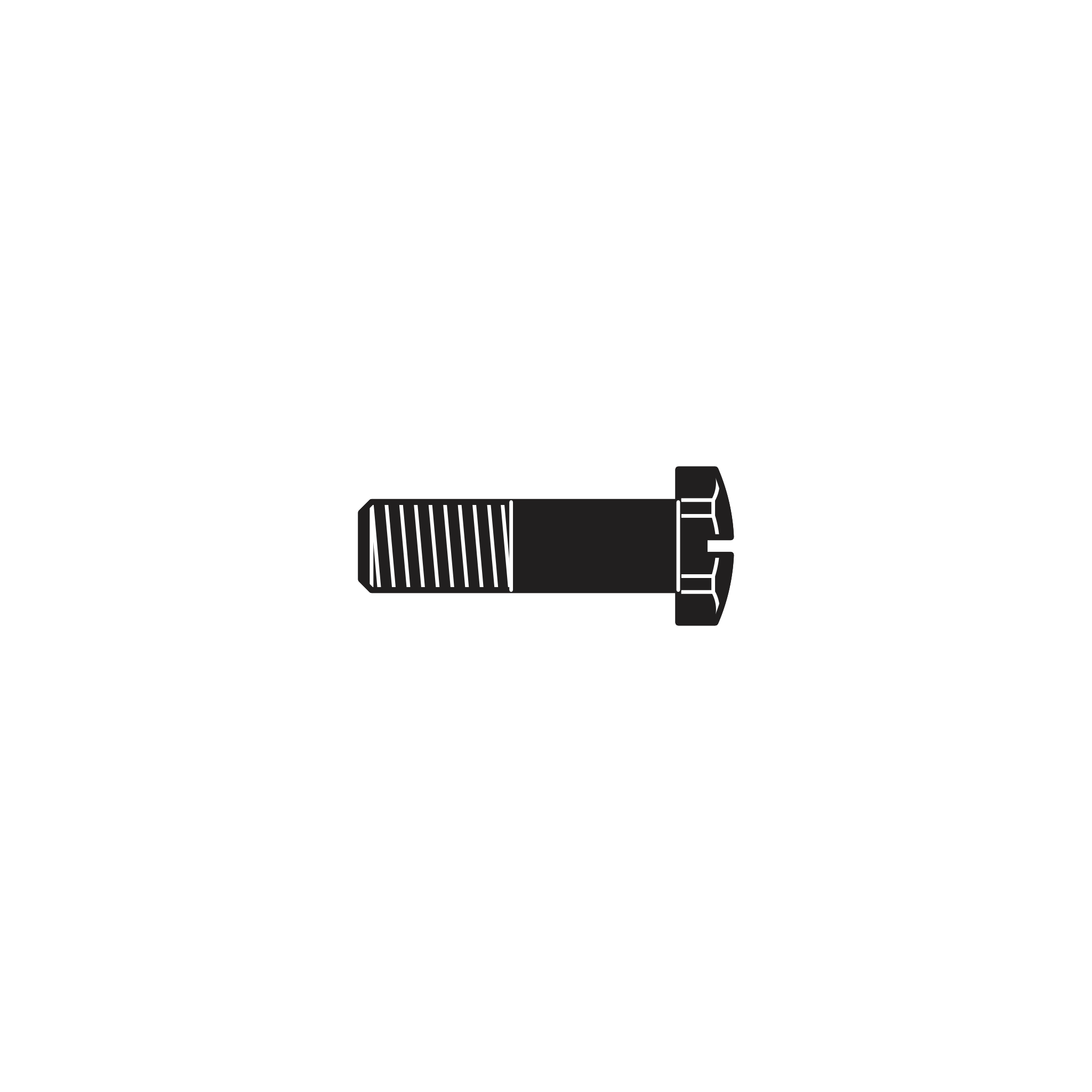 7/7 Screw for toothed segment - Product - Main View