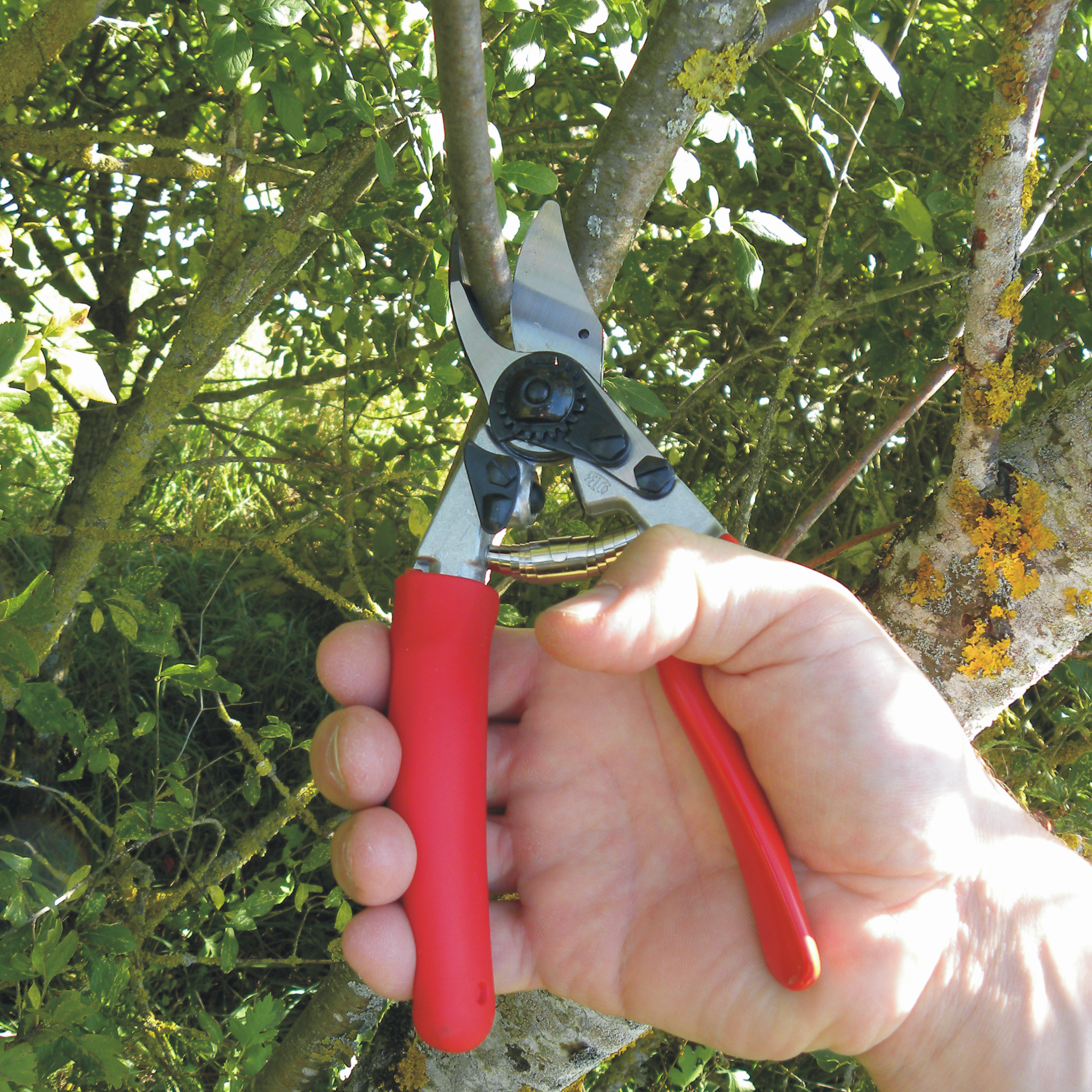 FELCO 12